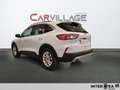 Ford Kuga 1.5 ecoblue Titanium Business 2wd 120cv auto Blanc - thumbnail 7