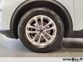 Ford Kuga 1.5 ecoblue Titanium Business 2wd 120cv auto Blanc - thumbnail 11