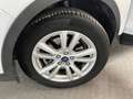 Ford Kuga 1.5TDCi Auto S&S Business 4x2 120 Weiß - thumbnail 23