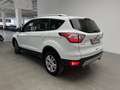 Ford Kuga 1.5TDCi Auto S&S Business 4x2 120 Weiß - thumbnail 2