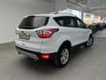Ford Kuga 1.5TDCi Auto S&S Business 4x2 120 Weiß - thumbnail 3