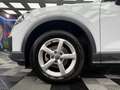 Audi Q2 Q2 30 TDI S tronic Business Weiß - thumbnail 8
