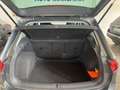 Volkswagen Tiguan 2.0 tdi 4 MOTION CAMBIO DSG Gris - thumbnail 13