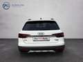 Audi A4 allroad 40 TDI quattro Weiß - thumbnail 6