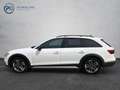 Audi A4 allroad 40 TDI quattro Weiß - thumbnail 4