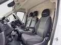 Fiat Ducato 35 L2H2 2.3D 140 Wit - thumbnail 12