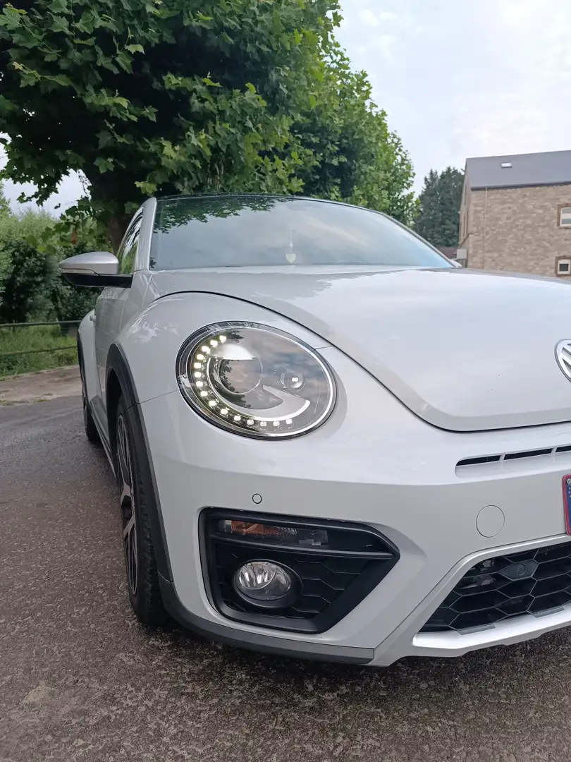 Volkswagen Beetle Beetle 1.2 TSI Dune Blanc - 2