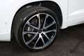 CUPRA Ateca 1.5 TSI DSG 150 Weiß - thumbnail 10