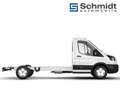 Ford Transit Pritsche Trend EK 350L3 2,0L Eblue 130PS M FWD Weiß - thumbnail 3