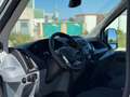 Ford Transit FT 350 L2 Van Trend 130 Blanco - thumbnail 17