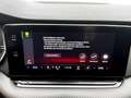 Skoda Octavia Limo 2.0 TDI RS 4X4 Aut. MATRIX+AHK+RADAR Schwarz - thumbnail 20