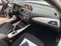 BMW 116 116d Efficient Dynamics Edition #TOP ZUSTAND # Weiß - thumbnail 10