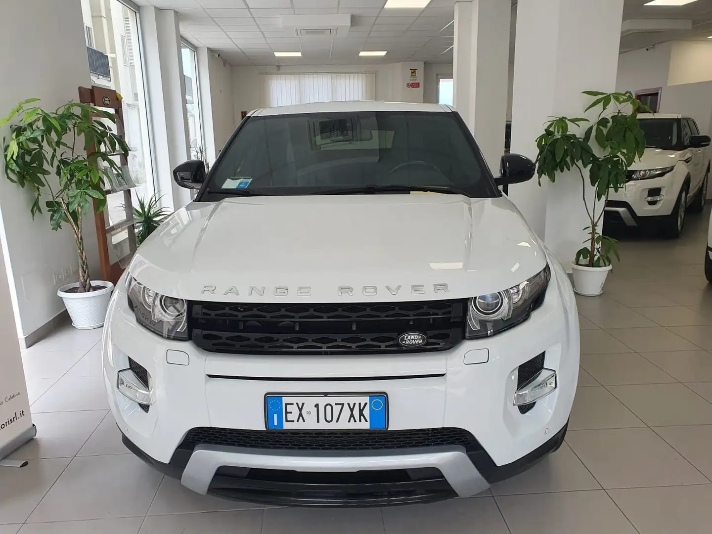 Land Rover Range Rover Evoque Range Rover Evoque 5p 2.2 td4 Dynamic150cv Wit - 2