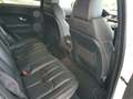 Land Rover Range Rover Evoque Range Rover Evoque 5p 2.2 td4 Dynamic150cv Wit - thumbnail 10