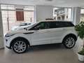 Land Rover Range Rover Evoque Range Rover Evoque 5p 2.2 td4 Dynamic150cv Wit - thumbnail 3