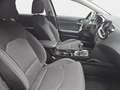 Kia Ceed / cee'd CEED 1.5 T-GDI ULTIMATE EDITION STYLE SOUND Grigio - thumbnail 17