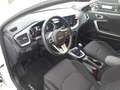 Kia Ceed / cee'd 1.0 T-GDI Edition 7 Klima*Rückfahr* Blanc - thumbnail 17
