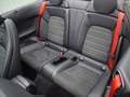 Mercedes-Benz C 180 Cabrio AMG Sport Night Navi AHK Komfort Blanc - thumbnail 6
