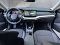 Skoda Octavia Selection TDI DSG Schwarz - thumbnail 22