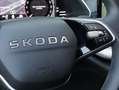 Skoda Octavia Selection TDI DSG Schwarz - thumbnail 16