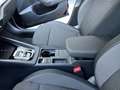 Skoda Octavia Selection TDI DSG Schwarz - thumbnail 17