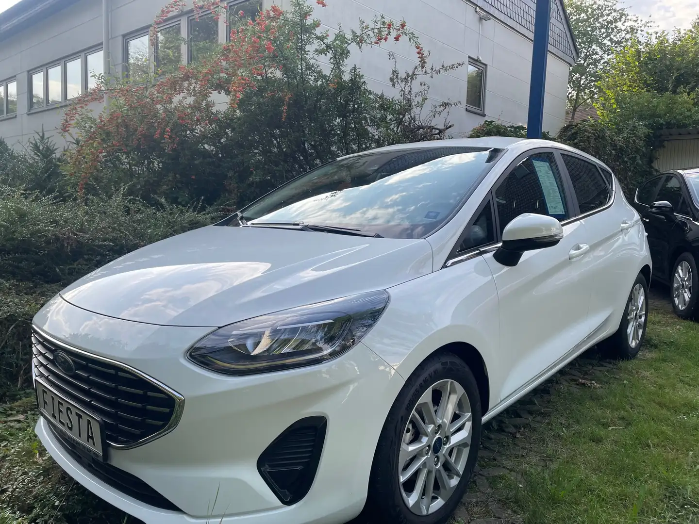 Ford Fiesta Titanium mHEV mit 4 Jahren Garantie* Weiß - 2