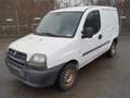 Fiat Doblo Cargo 1.9 JTD SX Kasten * OHNE TÜV * Weiß - thumbnail 4