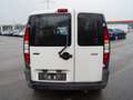Fiat Doblo Cargo 1.9 JTD SX Kasten * OHNE TÜV * Weiß - thumbnail 11
