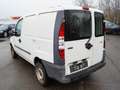 Fiat Doblo Cargo 1.9 JTD SX Kasten * OHNE TÜV * Weiß - thumbnail 6