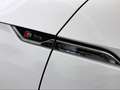 Audi A5 Sportback 40 TDI quattro 3xS line/ Matrix-LED Weiß - thumbnail 8