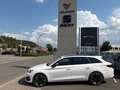 CUPRA Leon Sportstourer 1.5 TSI Klima Einparkhilfe Blanc - thumbnail 3