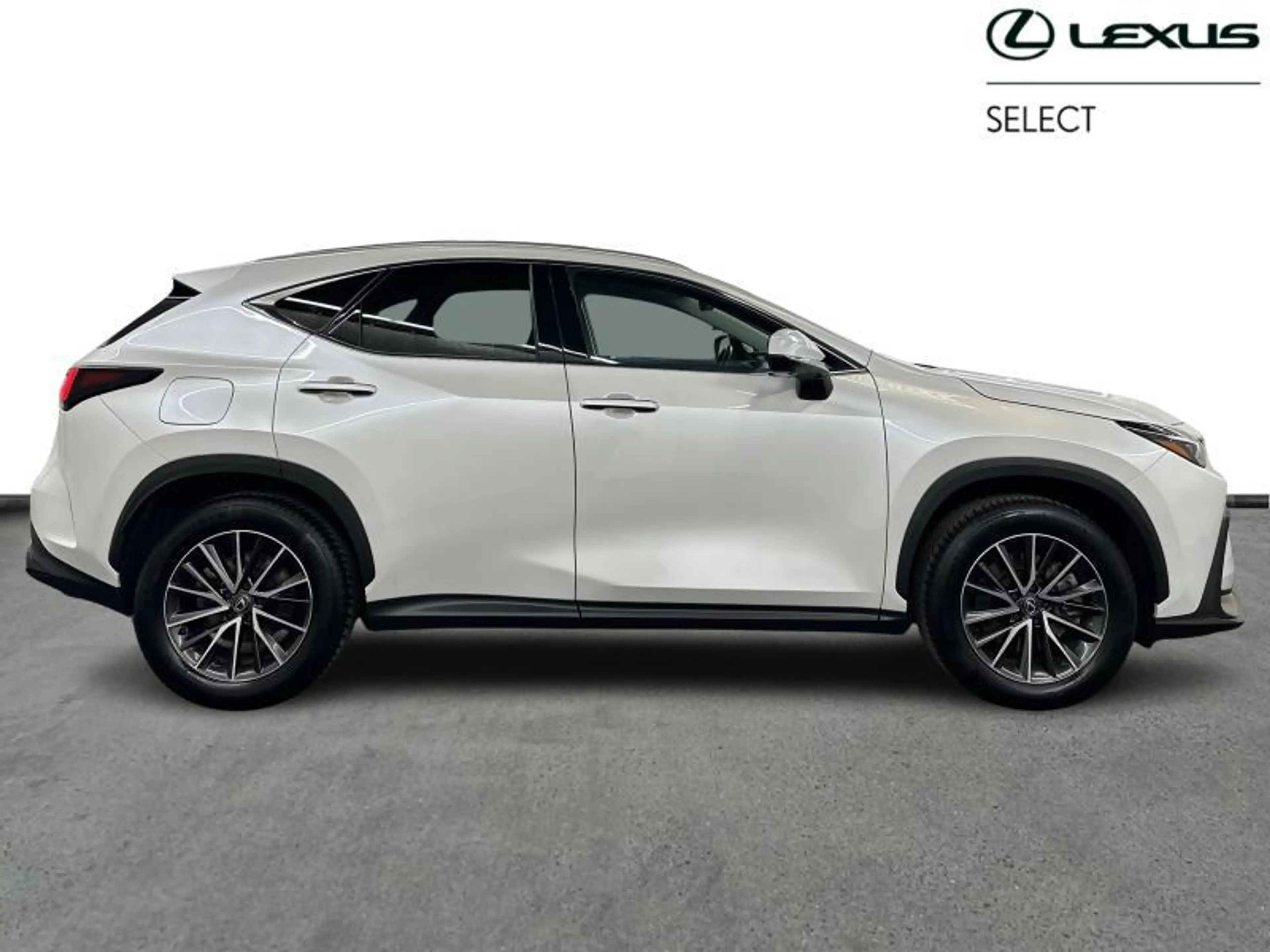 Lexus NX 450h+ Executive Line PHEV — photo 14