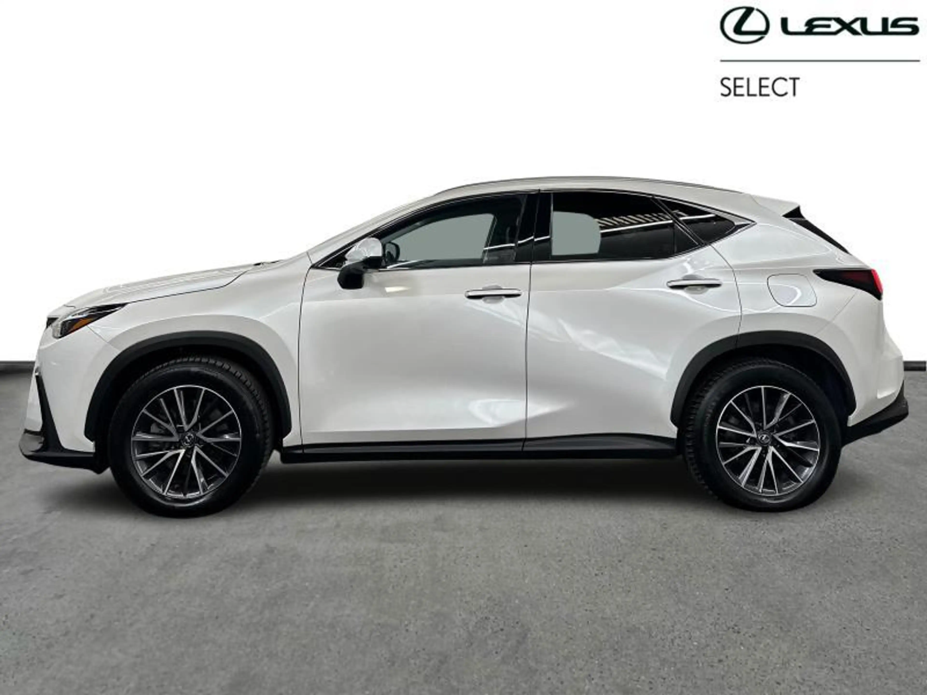 Lexus NX 450h+ Executive Line PHEV — photo 3