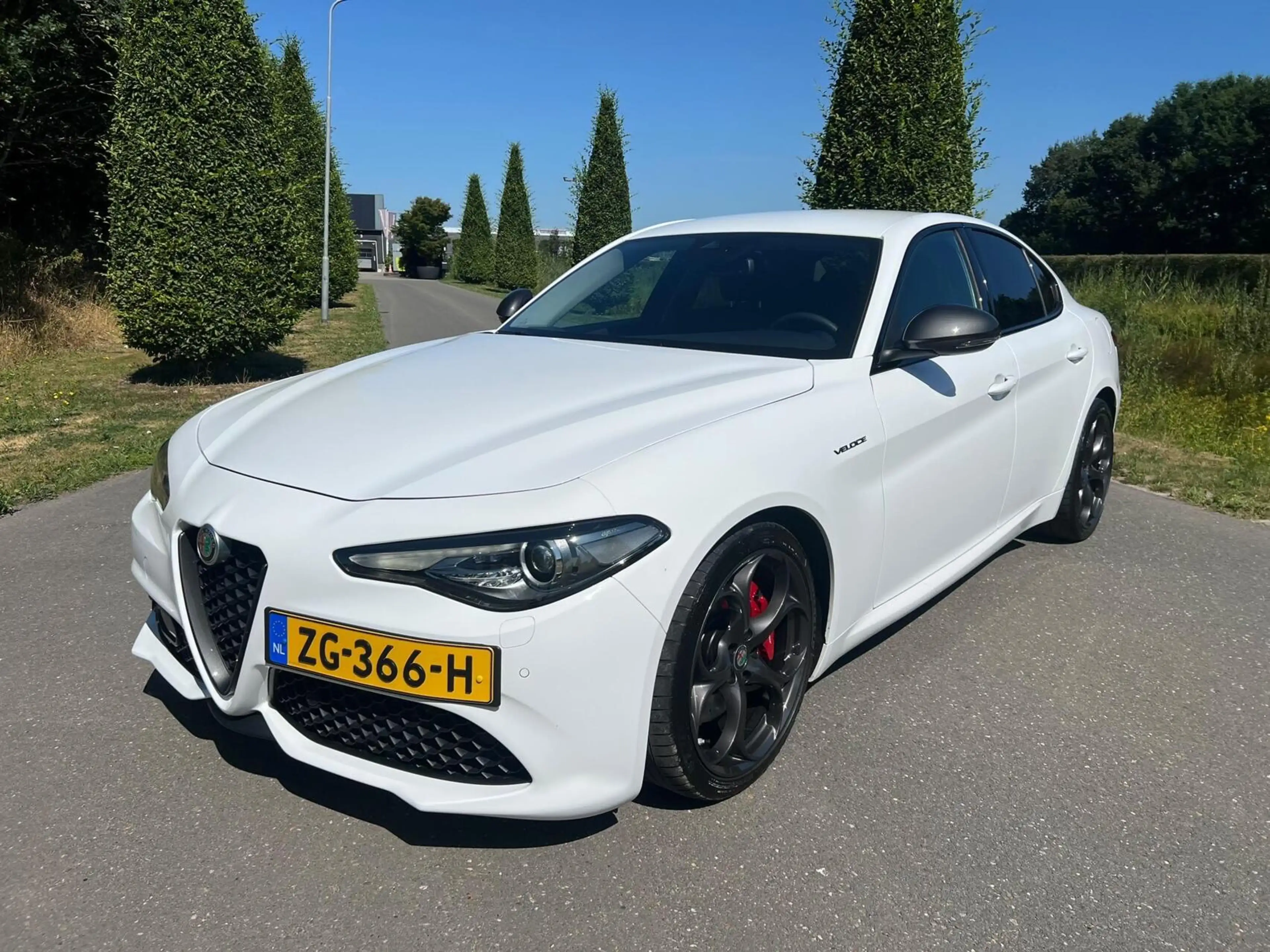 Alfa Romeo Giulia 2.0T Q4 Veloce, 65dkm, 320pk, Squadra — photo 9
