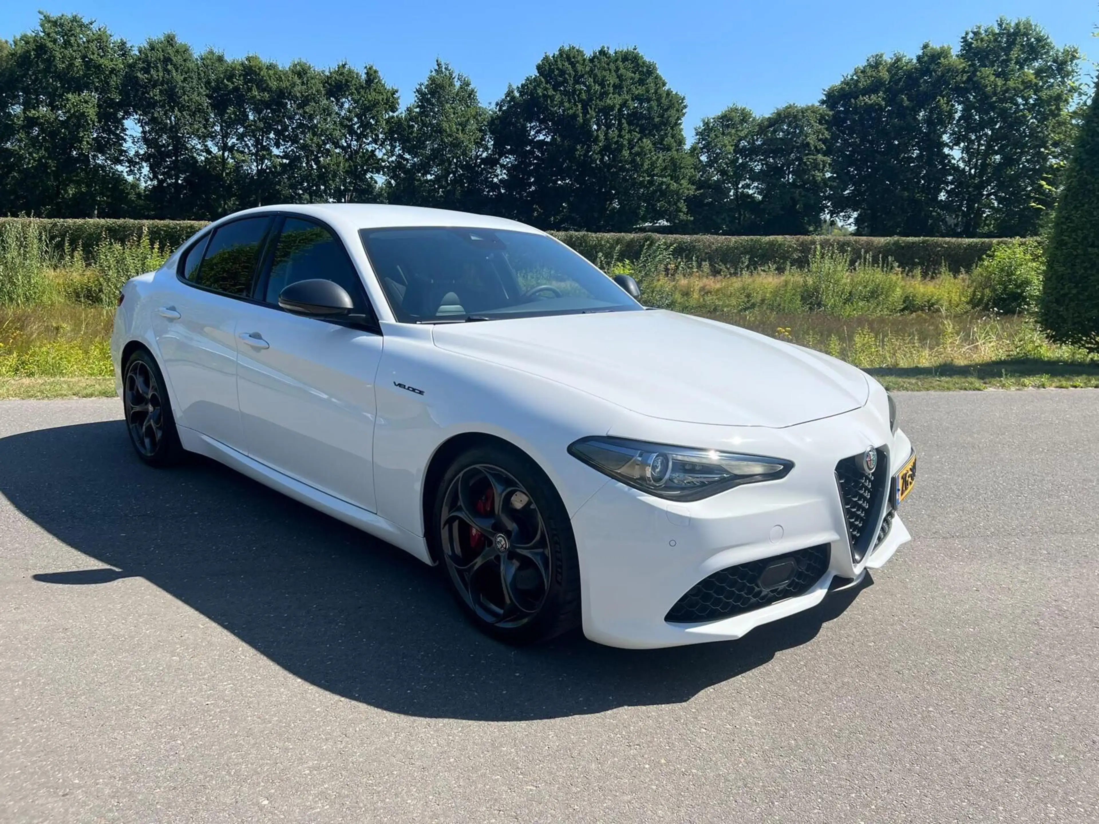 Alfa Romeo Giulia 2.0T Q4 Veloce, 65dkm, 320pk, Squadra — photo 12
