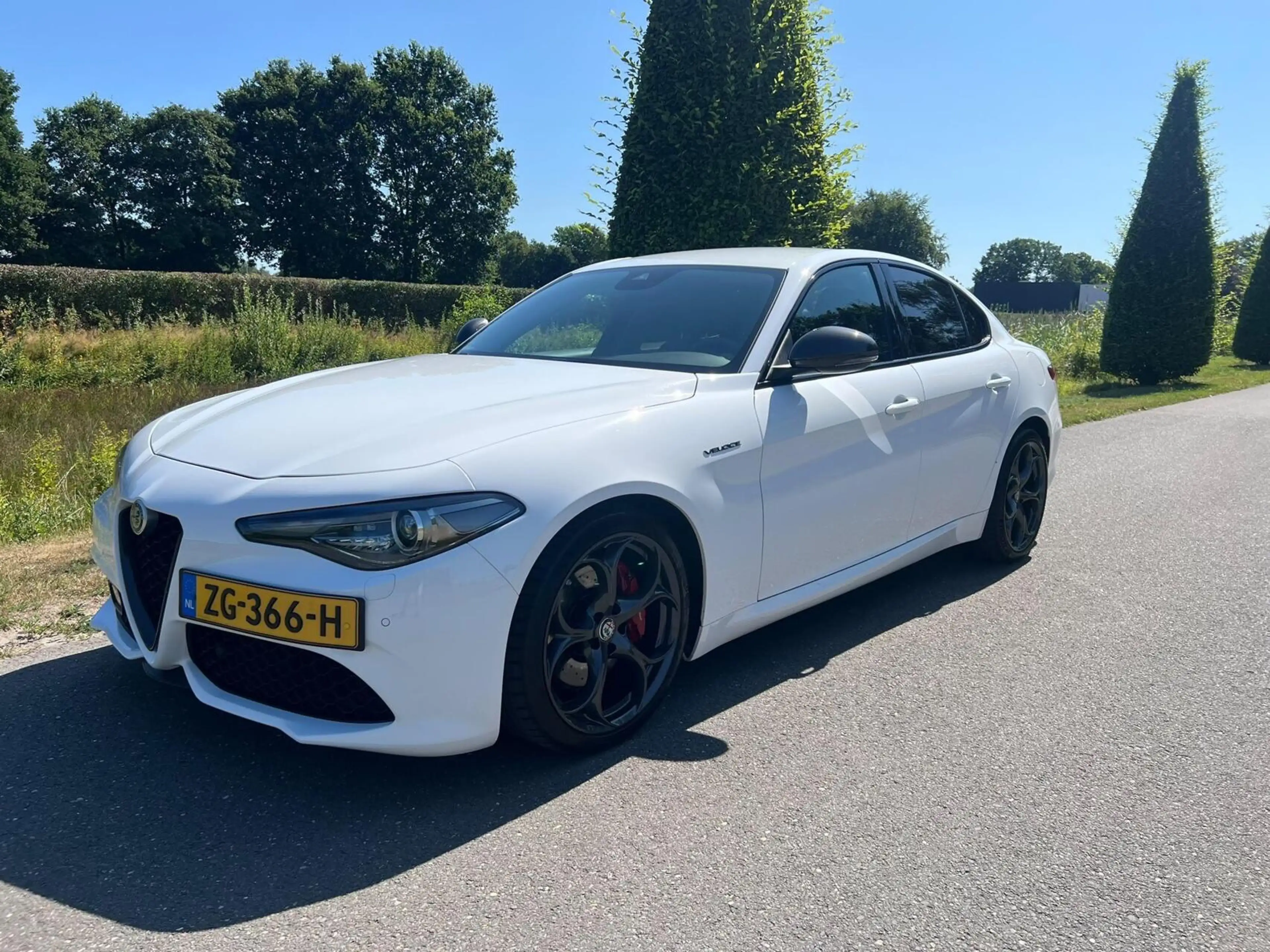Alfa Romeo Giulia 2.0T Q4 Veloce, 65dkm, 320pk, Squadra — photo 8