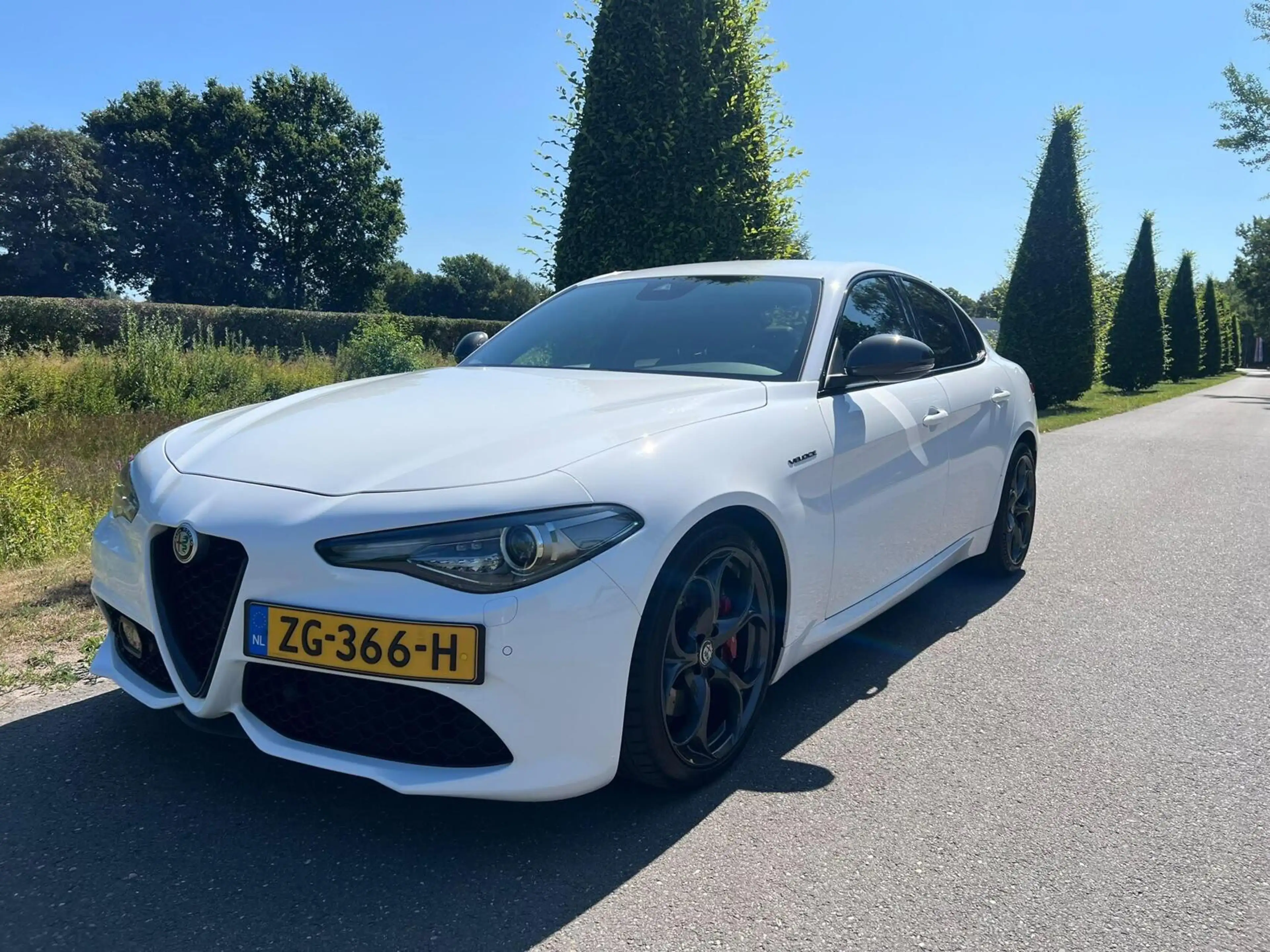 Alfa Romeo Giulia 2.0T Q4 Veloce, 65dkm, 320pk, Squadra — photo 2