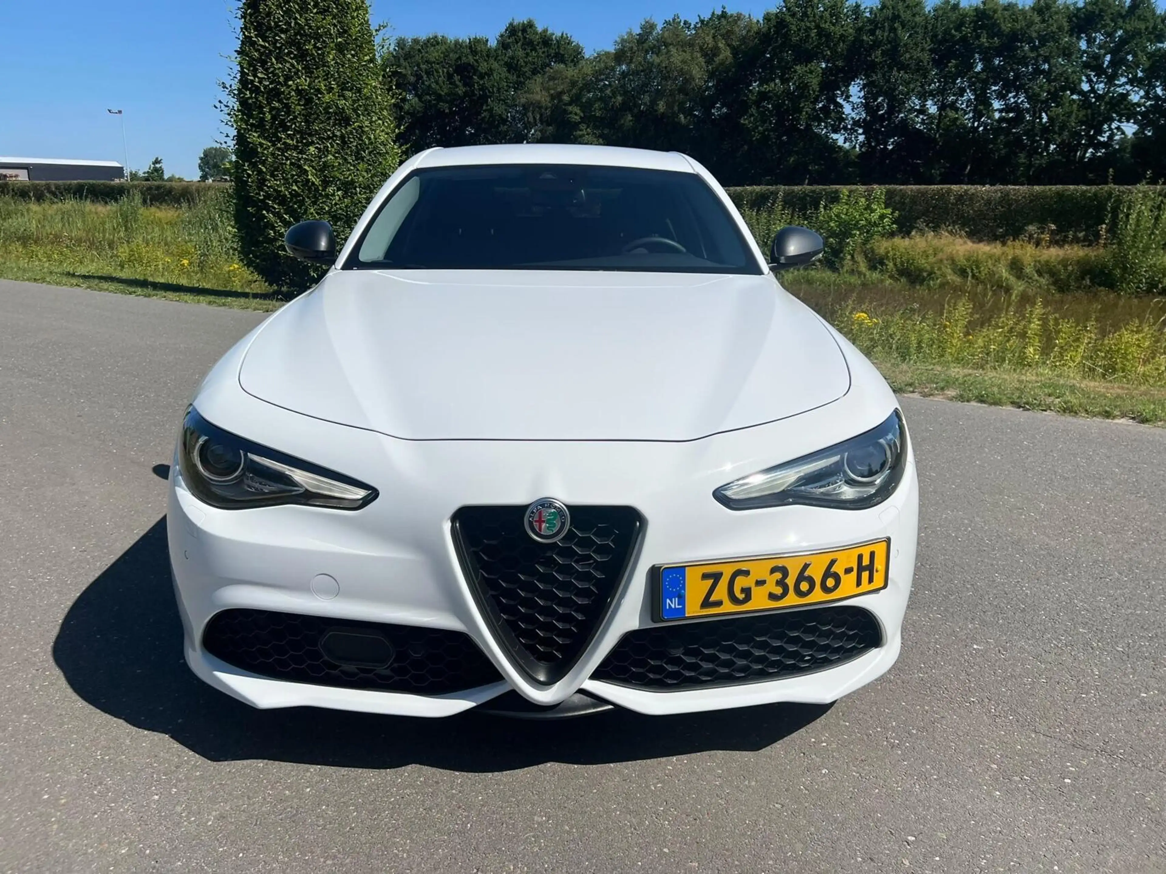 Alfa Romeo Giulia 2.0T Q4 Veloce, 65dkm, 320pk, Squadra — photo 10