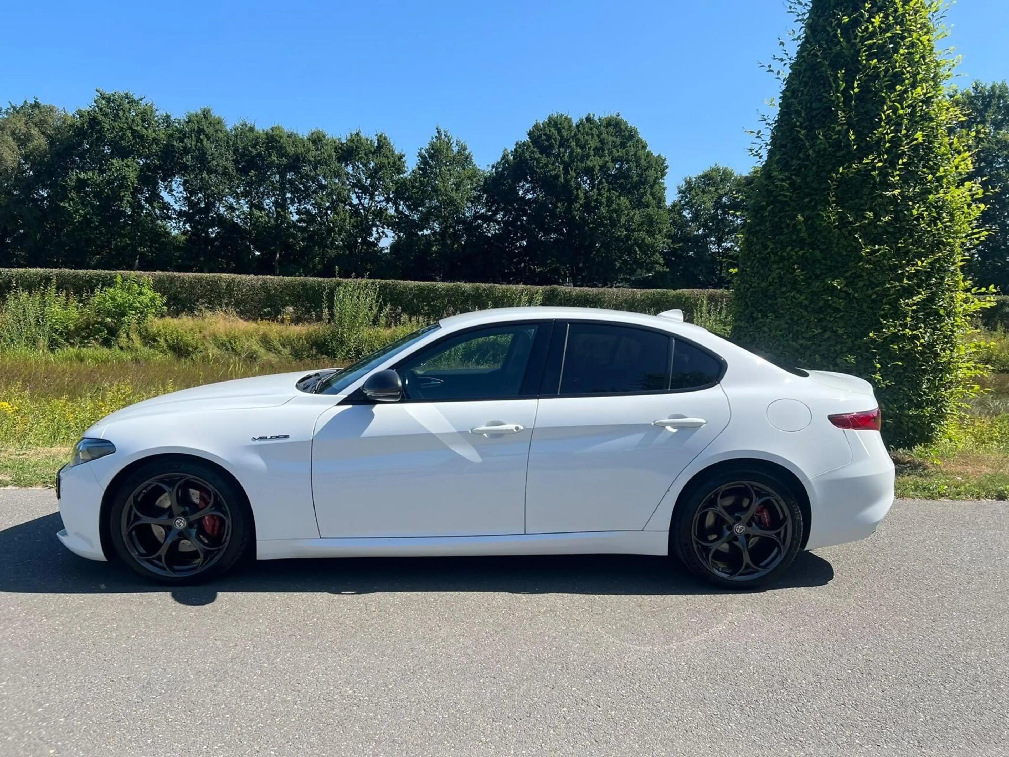 Alfa Romeo Giulia 2.0T Q4 Veloce, 65dkm, 320pk, Squadra — photo 7