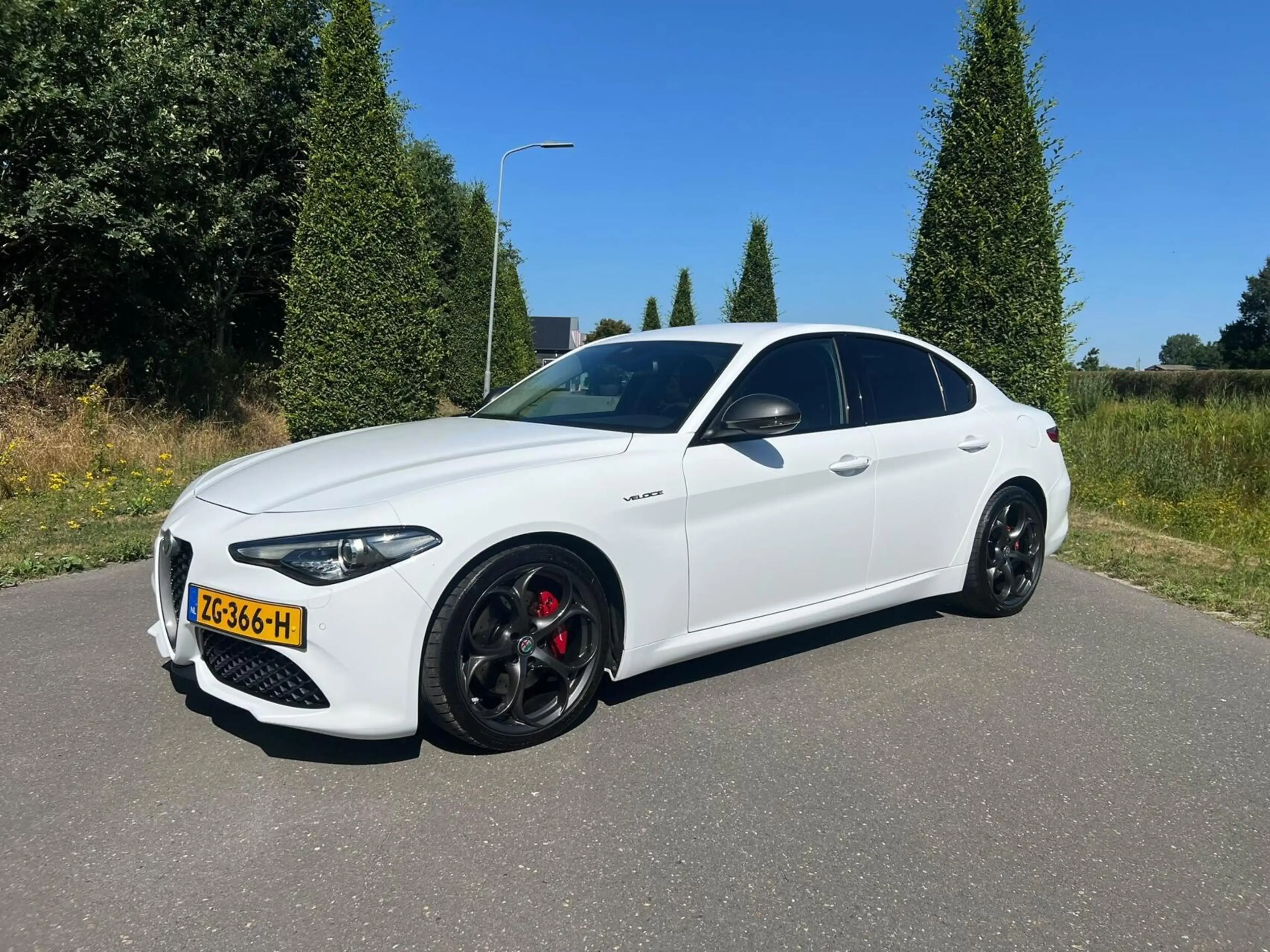 Alfa Romeo Giulia 2.0T Q4 Veloce, 65dkm, 320pk, Squadra — photo 11