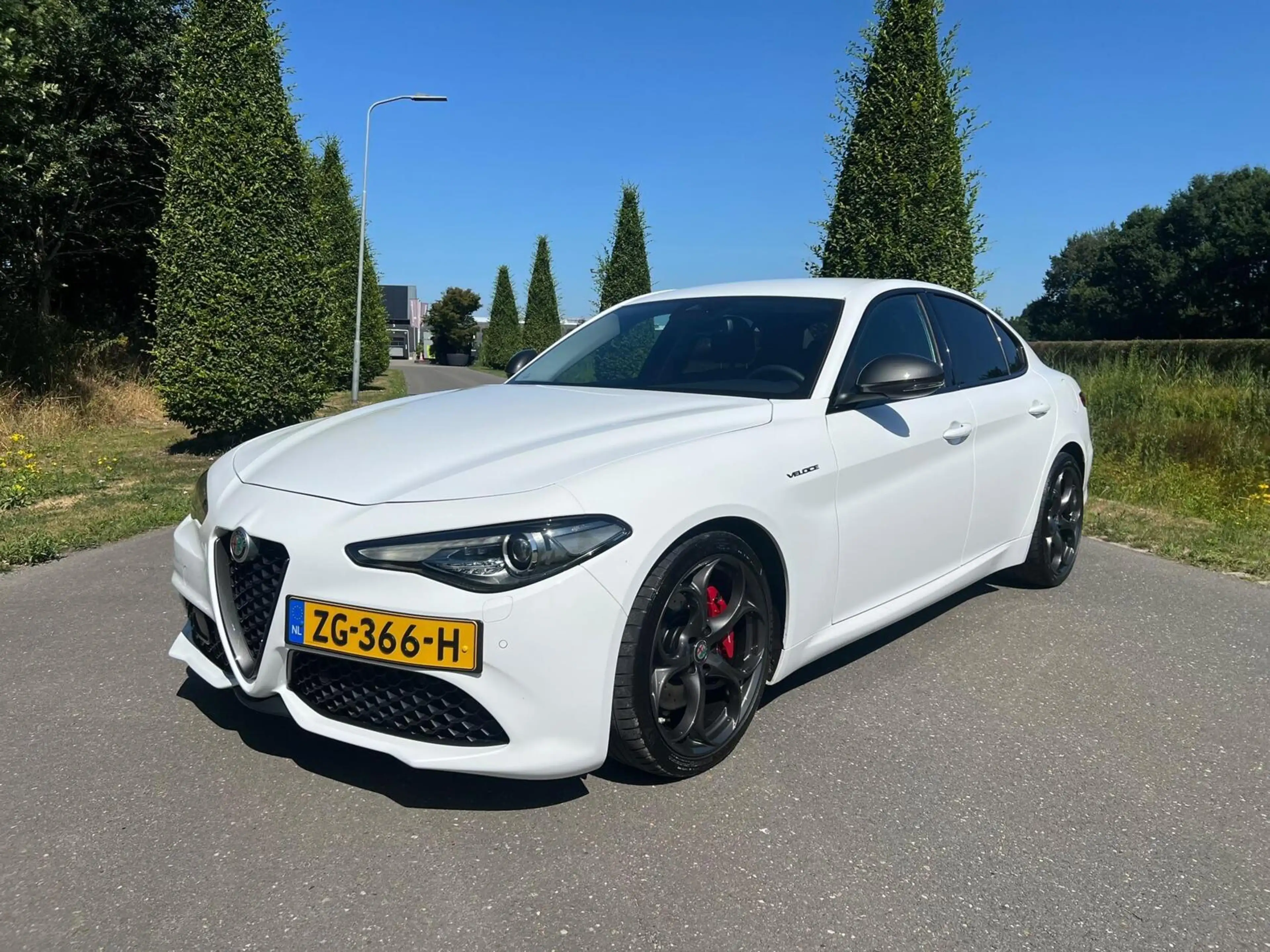Alfa Romeo Giulia 2.0T Q4 Veloce, 65dkm, 320pk, Squadra — photo 6