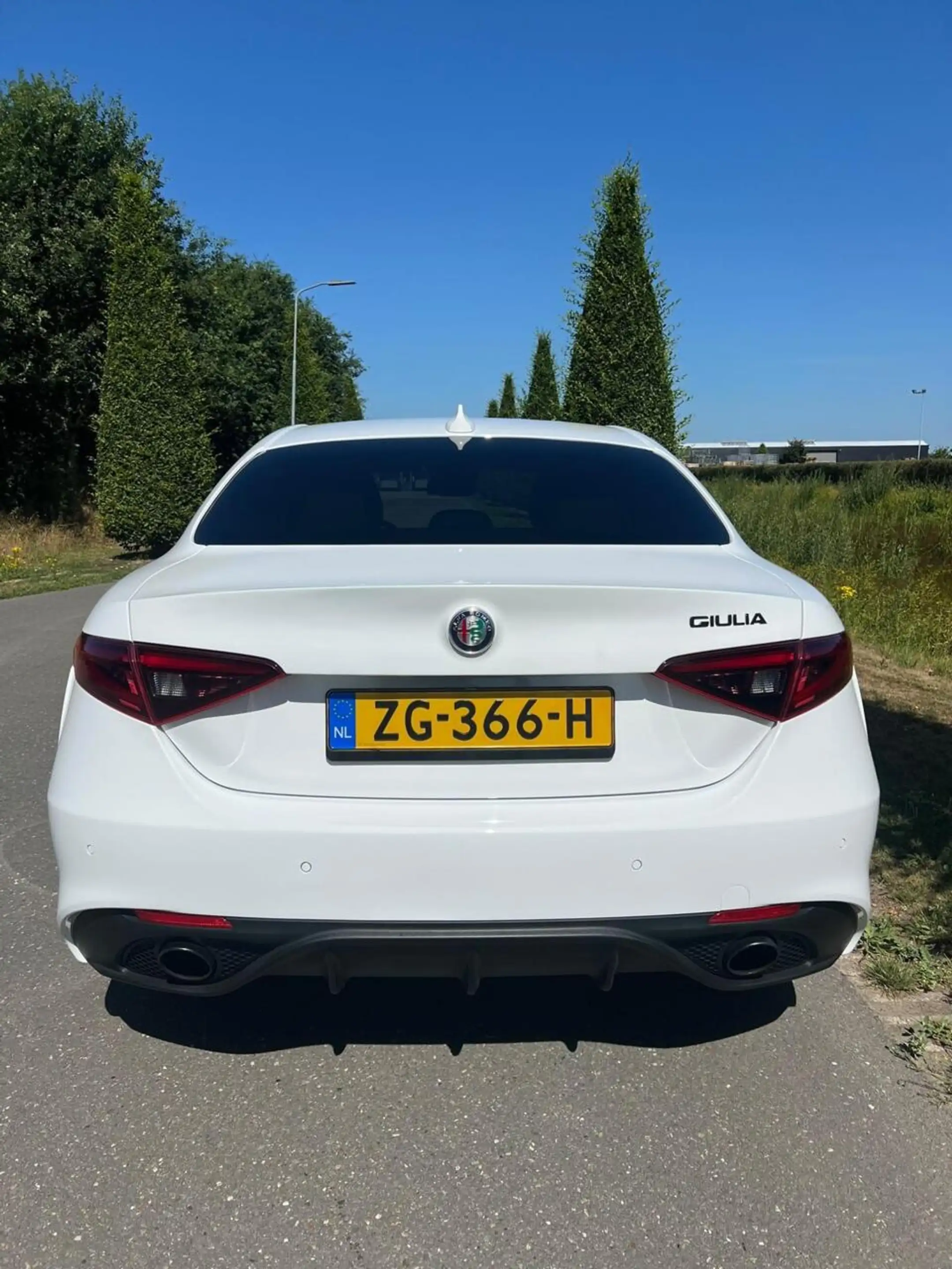 Alfa Romeo Giulia 2.0T Q4 Veloce, 65dkm, 320pk, Squadra — photo 5