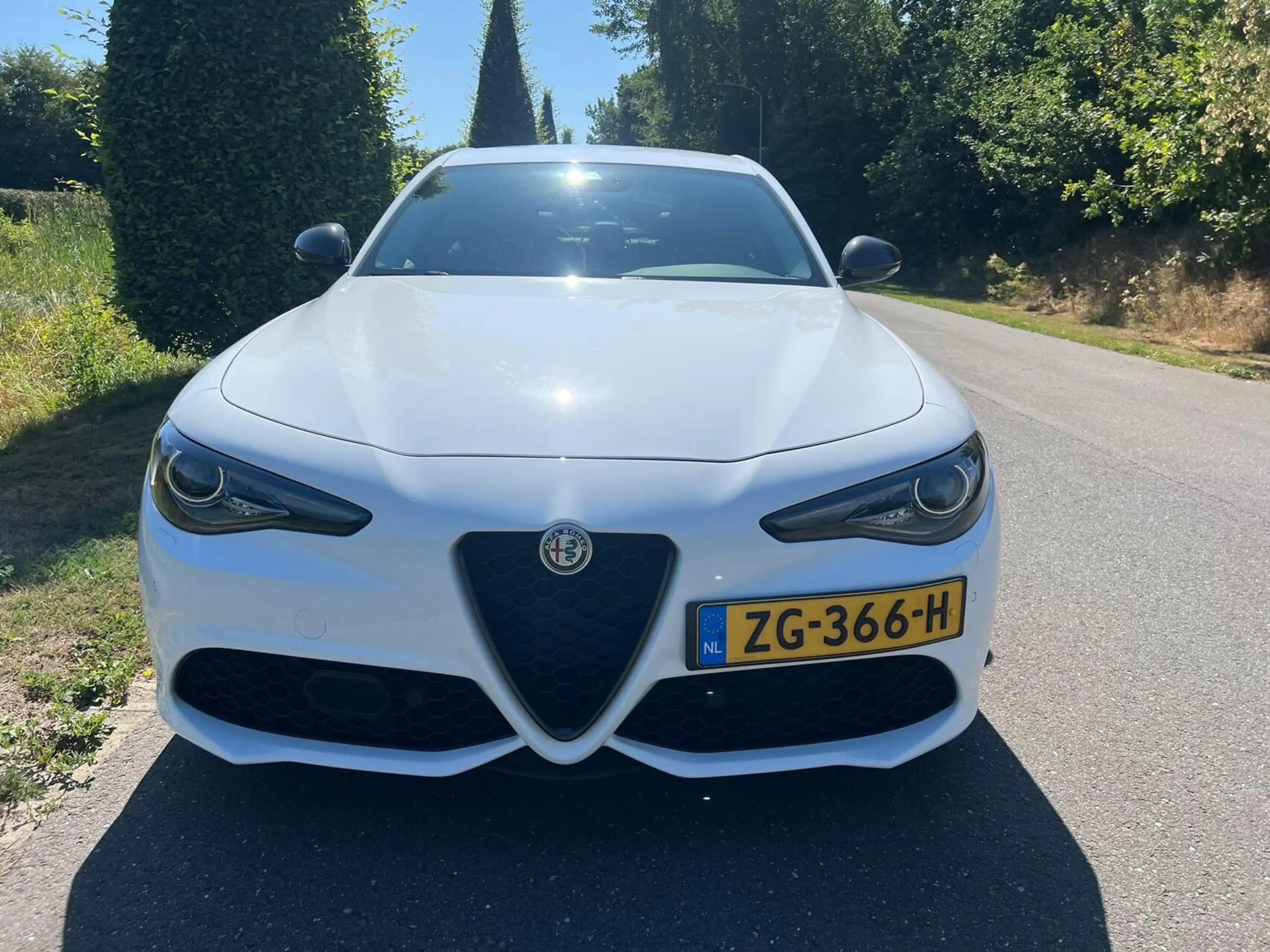 Alfa Romeo Giulia 2.0T Q4 Veloce, 65dkm, 320pk, Squadra — photo 3
