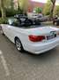 BMW 325 325d DPF Cabrio Edition Exclusive - thumbnail 3