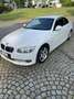 BMW 325 325d DPF Cabrio Edition Exclusive - thumbnail 5