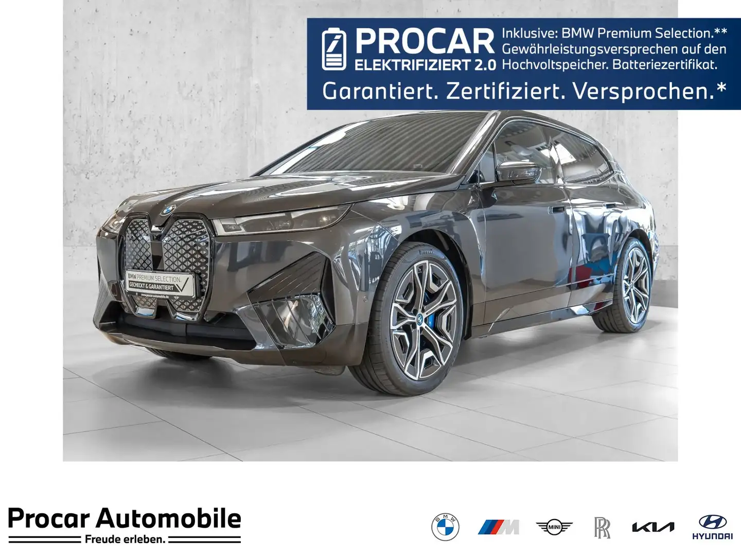 BMW iX xDrive40 Skylounge+AHK+Driv.Ass.Prof.+Laserlicht+H Grau - 1