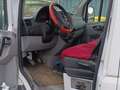 Mercedes-Benz Sprinter 210/211/213/214/216 CDI (906.611/613) Weiß - thumbnail 3