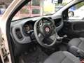 Fiat Panda Panda 1.2 Easy easypower Gpl 69cv Beige - thumbnail 11