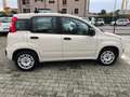 Fiat Panda Panda 1.2 Easy easypower Gpl 69cv Beige - thumbnail 13
