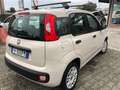 Fiat Panda Panda 1.2 Easy easypower Gpl 69cv Beige - thumbnail 6